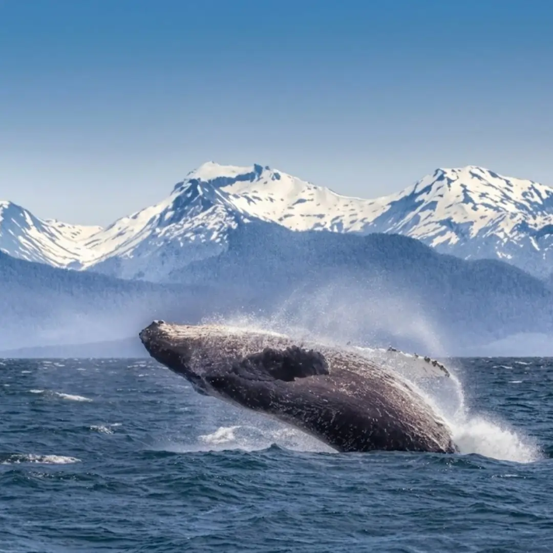 Alaska